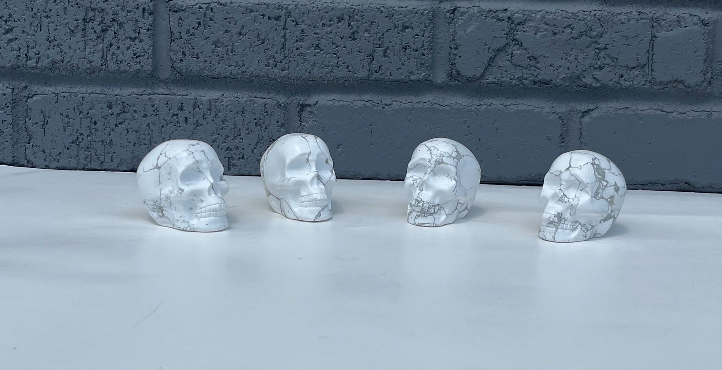 Howlite Skulls