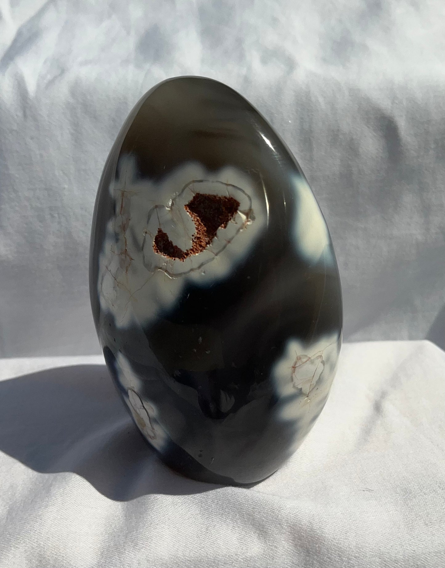 Orca Agate Freeforms