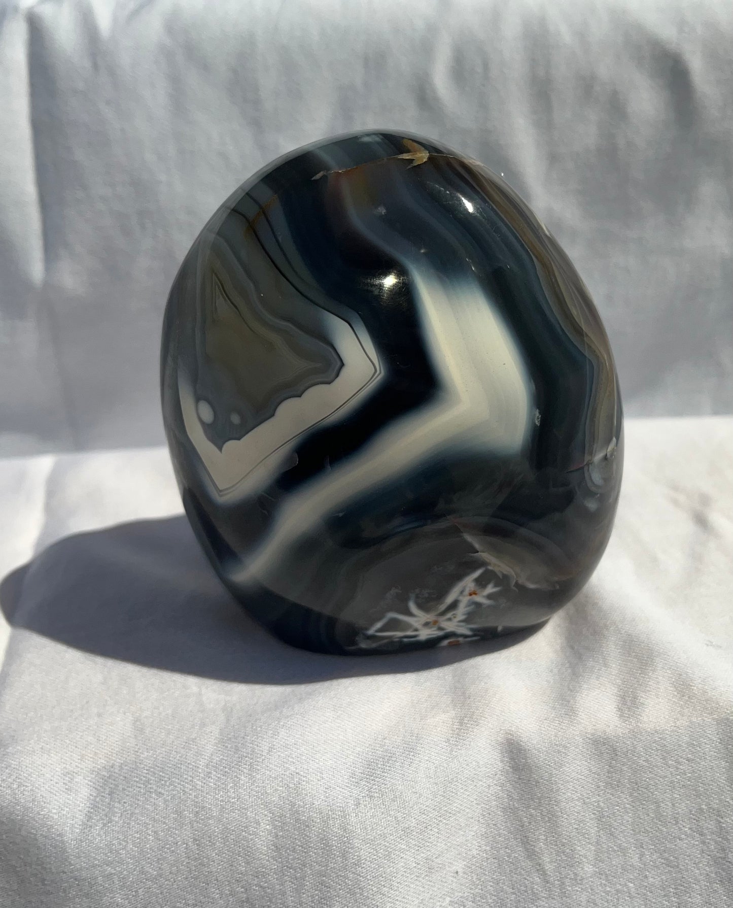 Orca Agate Freeforms