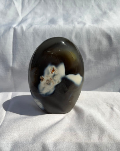 Orca Agate Freeforms