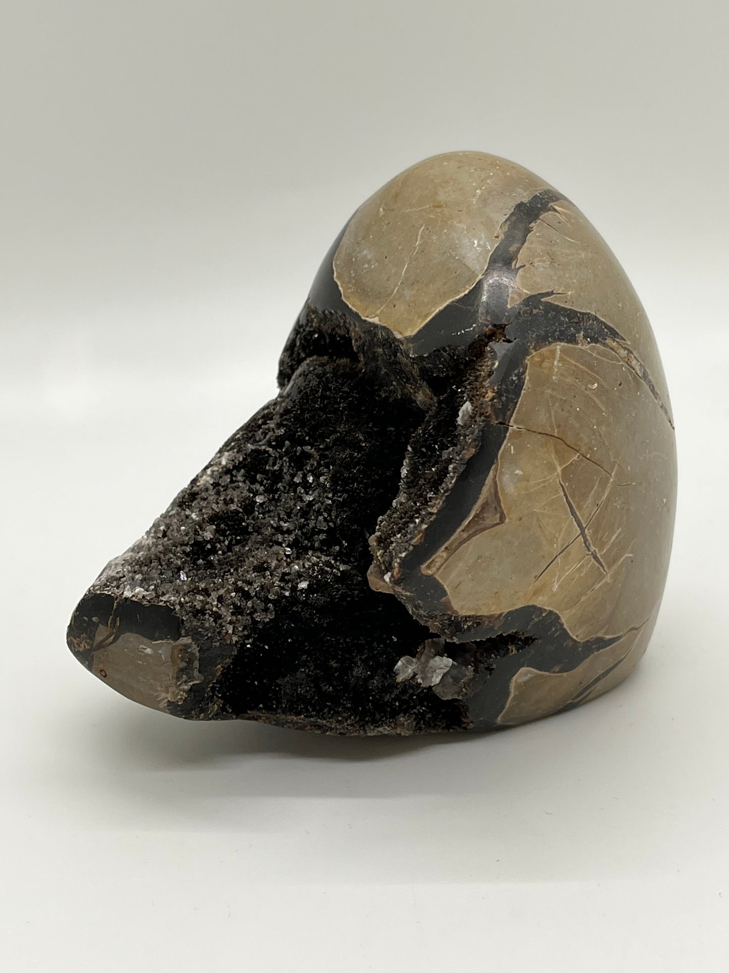 Septarian Crystal Freeform