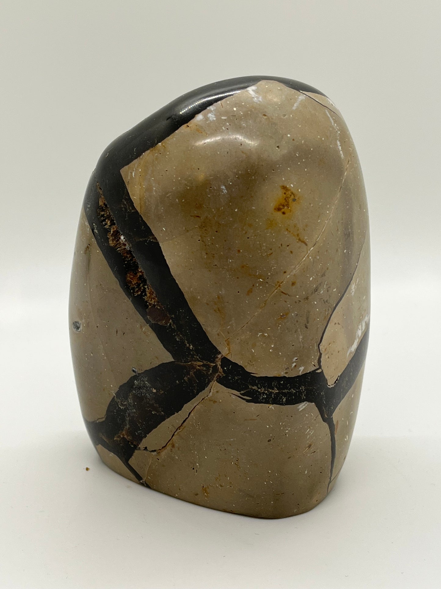 Septarian Crystal Freeform