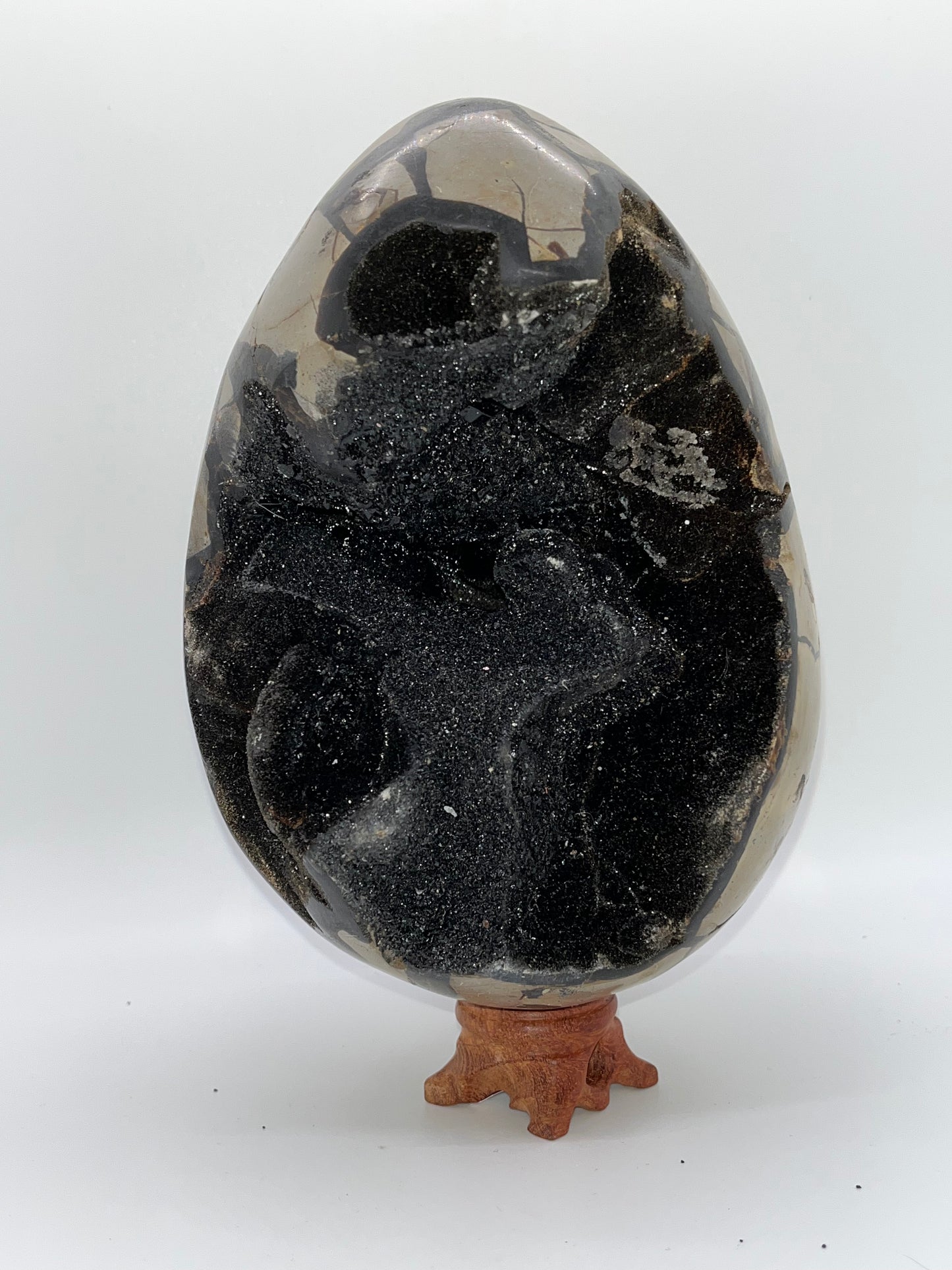 Septarian Crystal Egg Specimens
