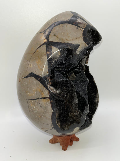 Septarian Crystal Egg Specimens