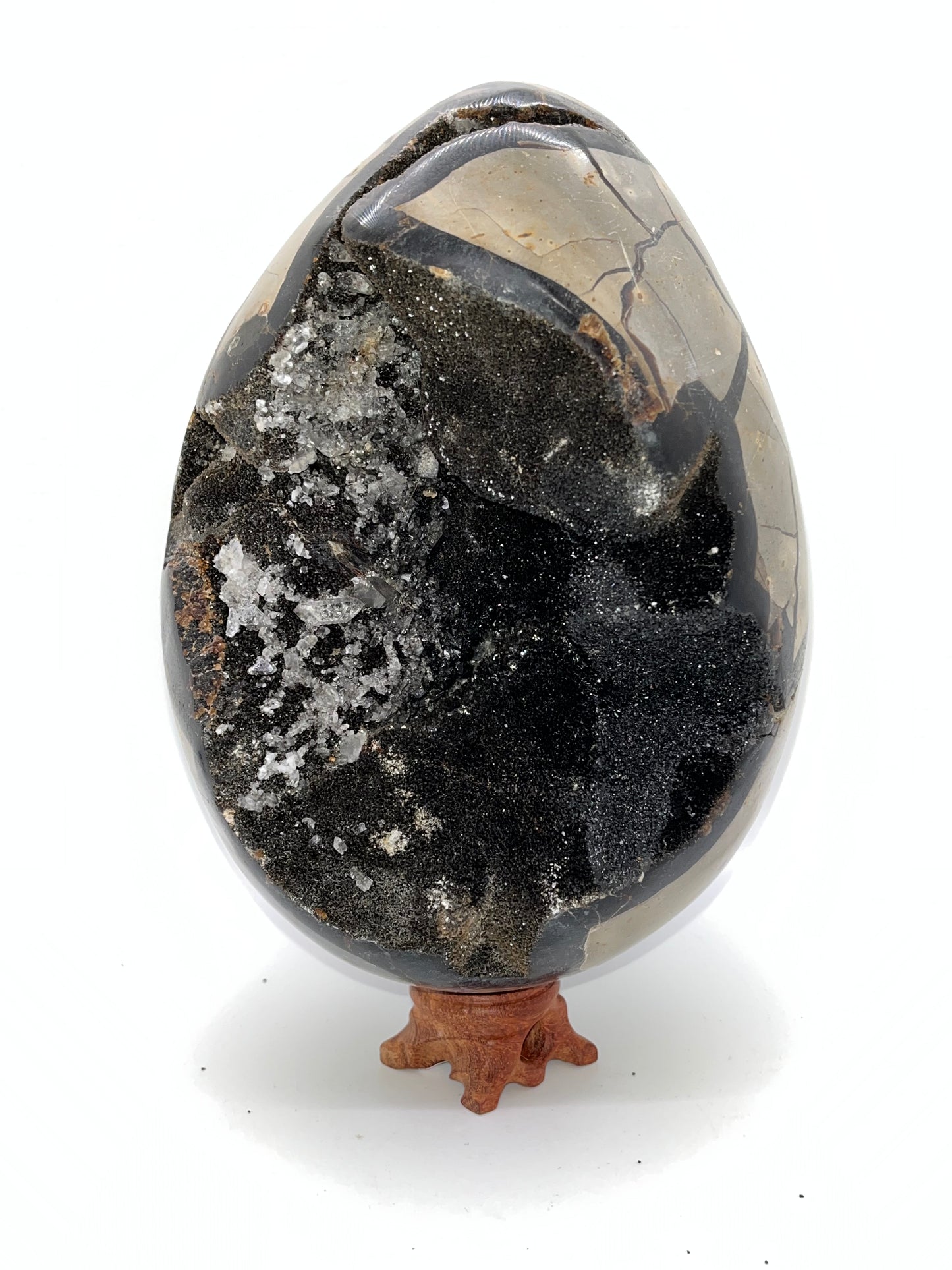 Septarian Crystal Egg Specimens