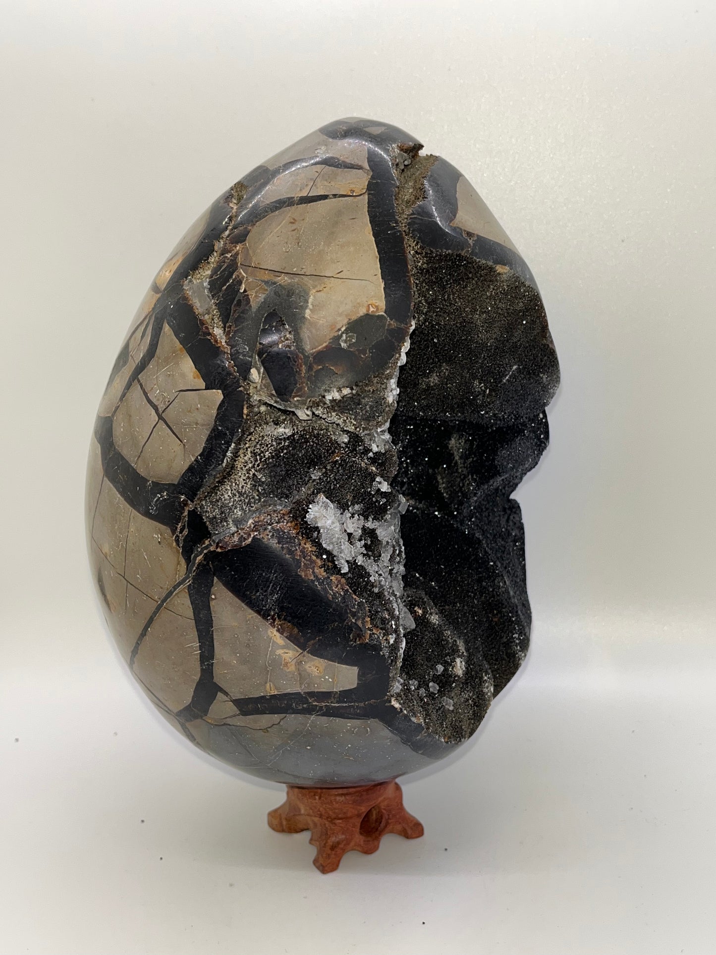 Septarian Crystal Egg Specimens