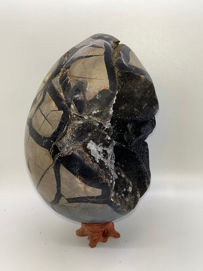 Septarian Crystal Egg Specimens