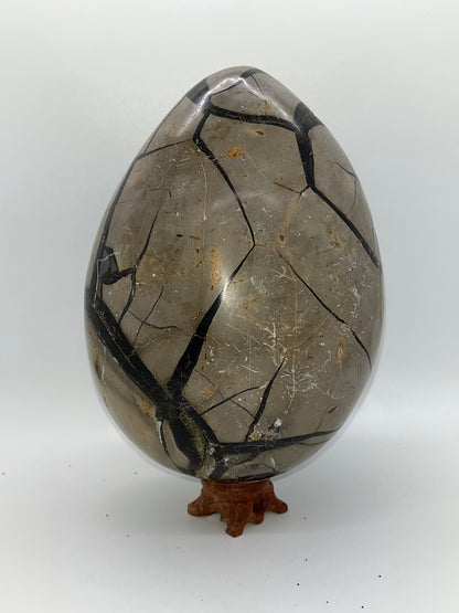 Septarian Crystal Egg Specimens