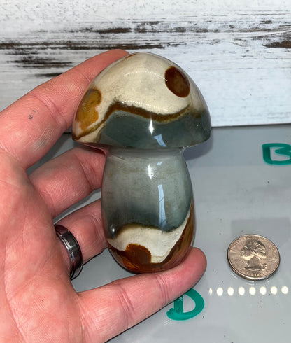 Polychrome Jasper Mushroom