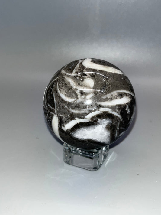 Gray Shellstone Sphere, Natural Crystal