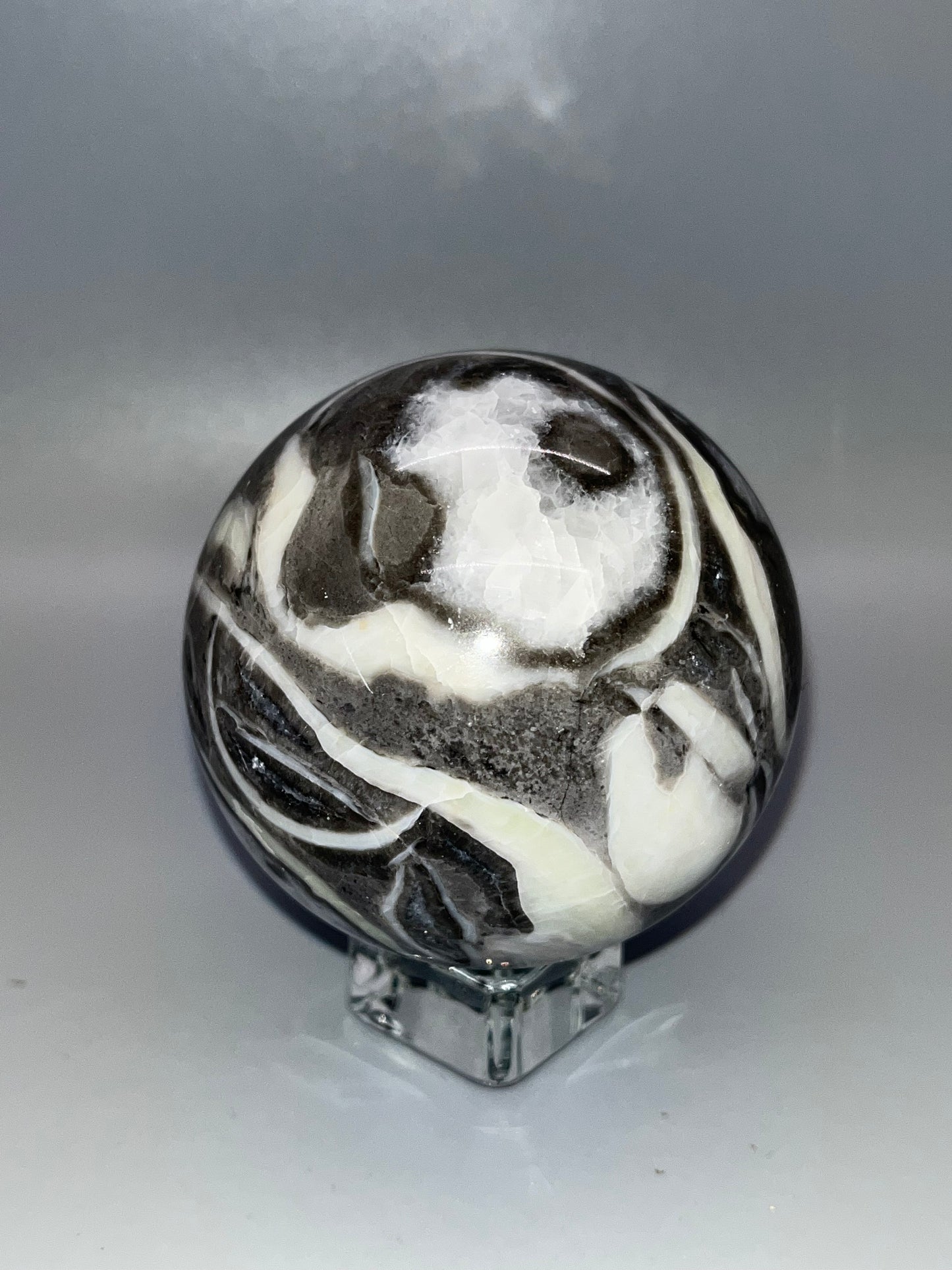 Gray Shellstone Sphere, Natural Crystal