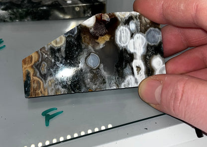 Ocean Jasper Slabs