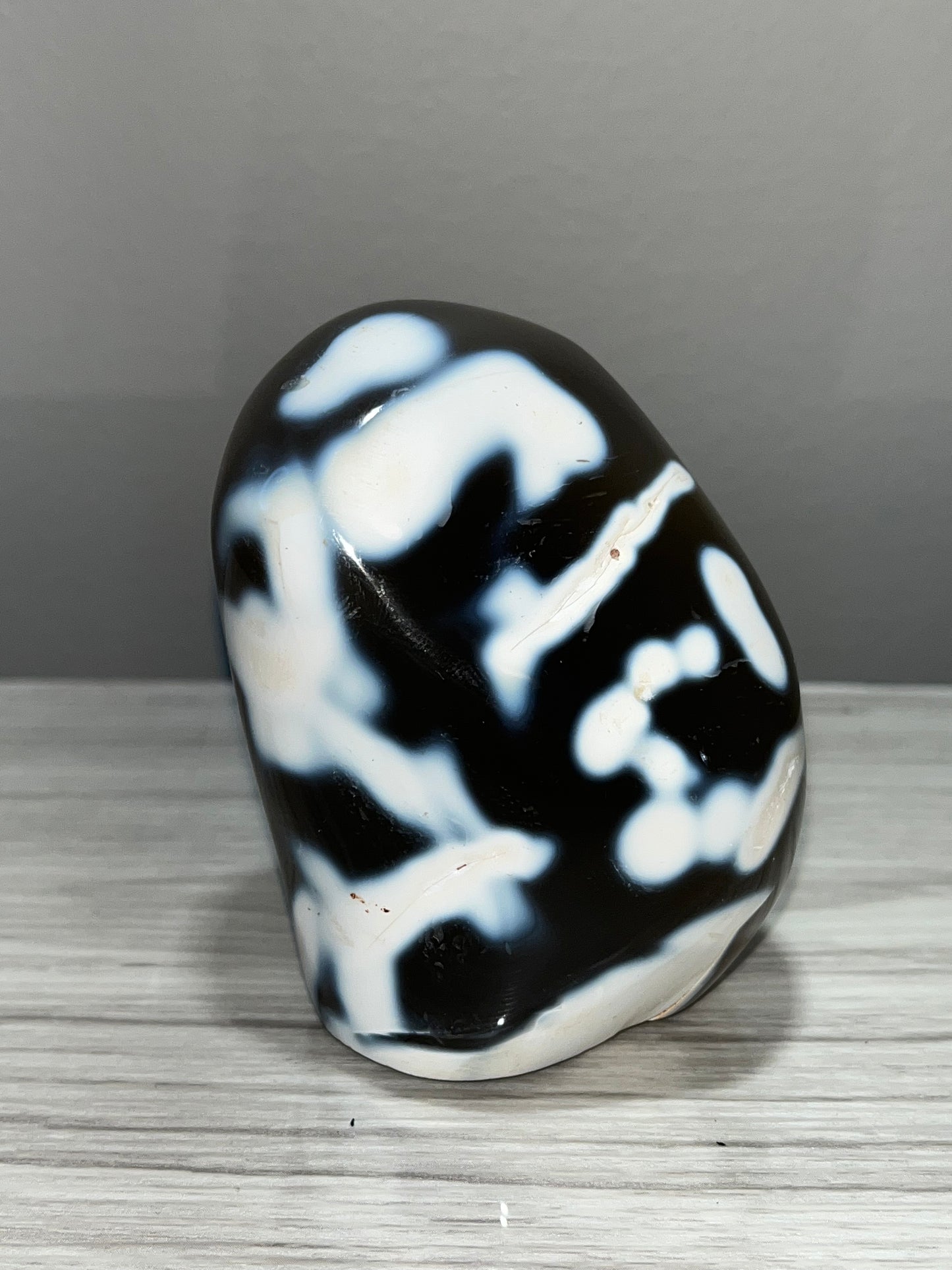 Orca Agate Freeforms