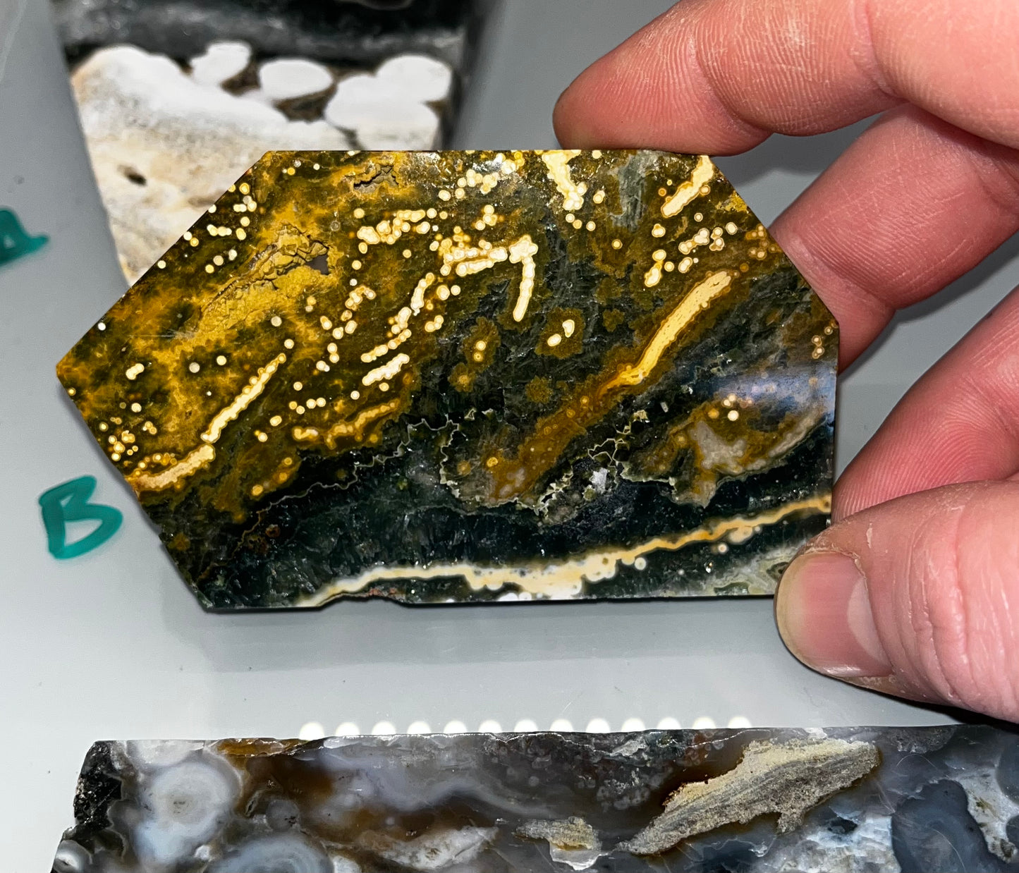 Ocean Jasper Slabs