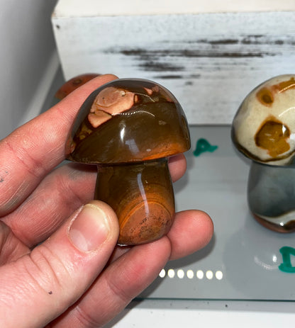 Polychrome Jasper Mushroom