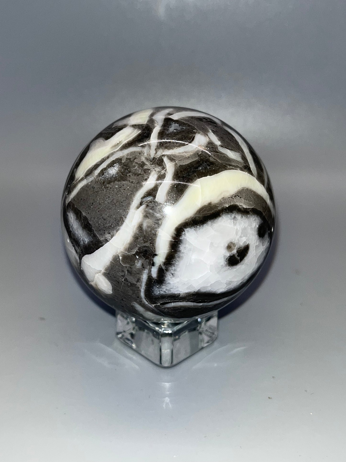 Gray Shellstone Sphere, Natural Crystal